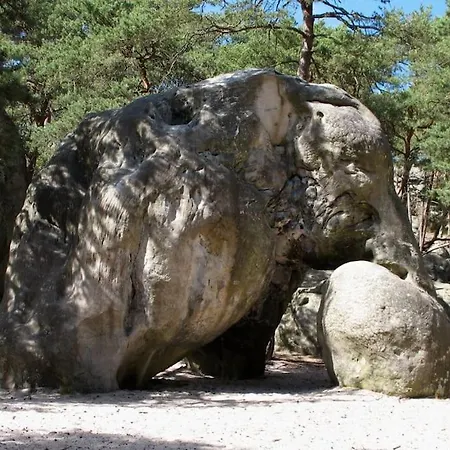 Le Bellifontain - Centre *